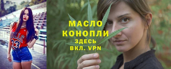 винт Каменка
