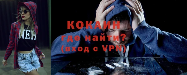 винт Каменка