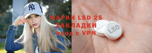 винт Каменка