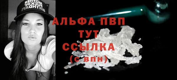 винт Каменка