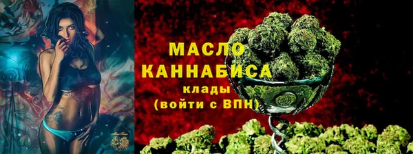 винт Каменка